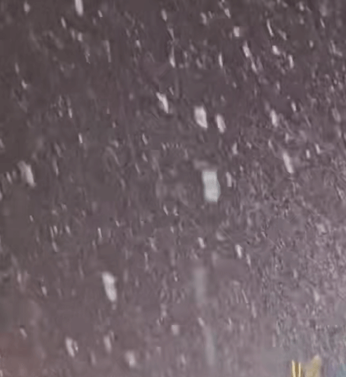 最冷不過倒春寒，三月又見桃花雪，香香市的天氣有點反常哦！